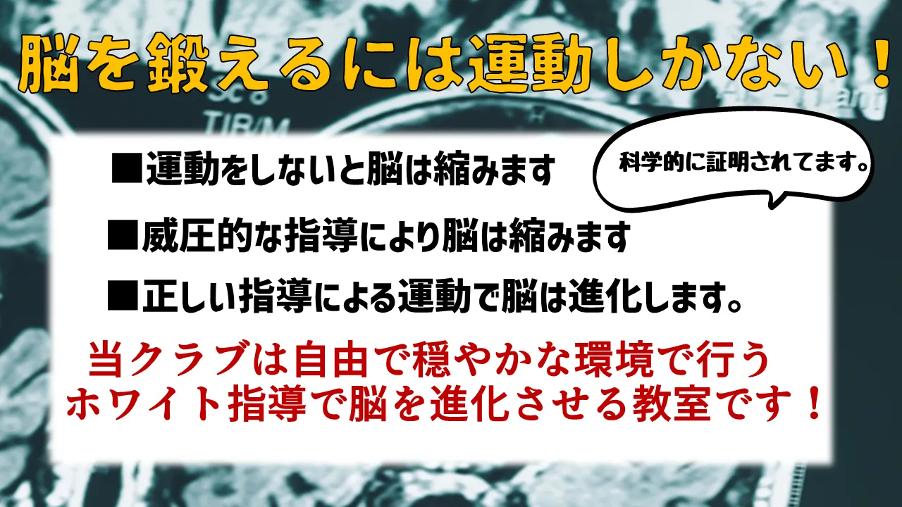 なぜこの習い事が必要なのか？（脳の発育のこと）